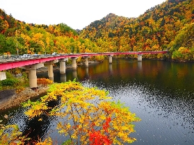 2025年10月去日本紅葉最開始的地方——北海道︱劄幌、洞爺湖、函館、小樽