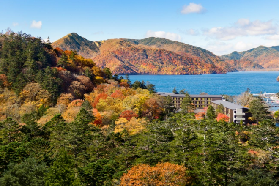 2025國慶反向出遊Top1！邂逅日本第一波秋色，2025北海道賞秋完全攻略~