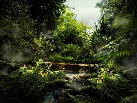 新加坡亞洲雨林探險園｜預訂前必睇3大避坑！門票唔好亂買✨