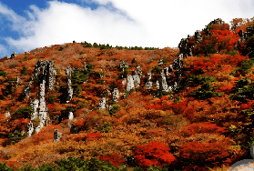 2025韓國賞楓季：不可錯過的八大秋日美景！【建議收藏】