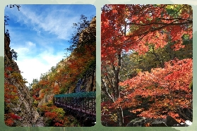 【跟著樸寶劍遊韓國】江原道賞楓 & 冬季夢幻之旅超詳攻略！