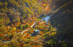 2025國慶賞楓好去處，百分百感受韓國內藏山之秋楓魅力