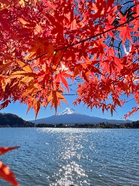 【2025必看】速進！河口湖賞楓一日遊超詳攻略，解鎖絕美紅葉回廊與富士山拍照聖地