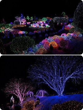 韓國冬天玩什麼？這條一日遊直接包辦所有幻想！避坑指南來了✨