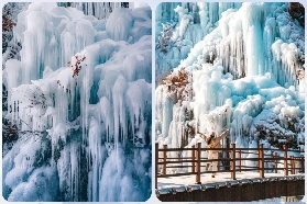 韓國冬日一日遊實測｜冰川+羊駝+南怡島+樹木園！抵到爆✨