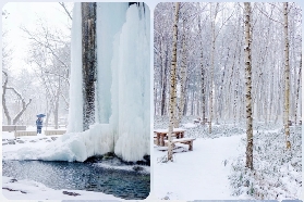 首爾一日遊實測｜羊駝+鐵道車+南怡島+夜燈！四大亮點避坑全攻略✨