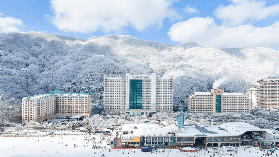 2025冬季必打卡！去不夠的韓國冬季玩雪指南！