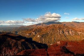 2025日本最全賞楓地圖｜8大區域一篇搞定！