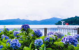 東京近郊一日遊實測｜富士山五合目+箱根海盜船超讚！