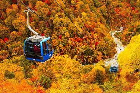 日本紅葉預測2025：各地紅葉最佳賞楓期&景點指南（9.11版）