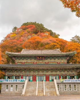 「賞韓楓漫遊集」速遞：韓國秋日楓景高光TOP5！相機準備好了沒！