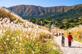 被自然寵愛的秘境，日本富士箱根伊豆國立公園旅行地圖