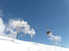 日本自由行，抓住這個冬季一起去日本滑雪！（含交通、滑雪時間、滑雪場地址）