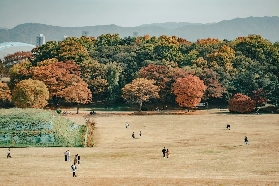 2025韓國賞楓自由行！交通簡單、價格友好、時間壓力輕，這才是今年秋天最值得去的賞楓目的地！