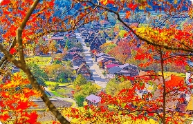 飛驒高山+白川鄉一日遊｜實測3個必體驗亮點！超讚～