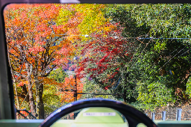 2025比叡山延歷寺賞楓攻略：乘坐叡山電車穿越紅葉隧道，探訪京都最美楓景秘境