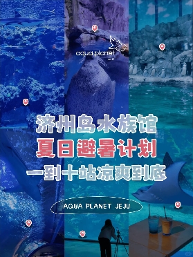 🇰🇷濟州島水族館10站暢遊海底世界！（含景點介紹及景點交通）