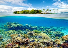 泰國布吉島珊瑚島攻略：1 天玩透浮潛、白沙灘，新手不踩雷