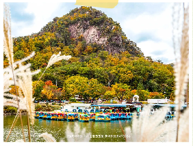 2025秋日氛圍感拉滿，首爾近郊賞楓天花板，國慶就去韓國賞楓吧！