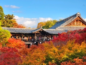 2025日本紅葉前線預測！京都、東京最佳賞楓時間，含溫泉與夜楓名所