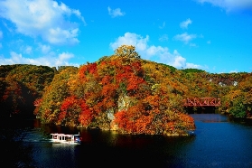 【日本紅葉溫泉終極攻略】北海道路線到關東5大絕景，2025秋日療愈之旅