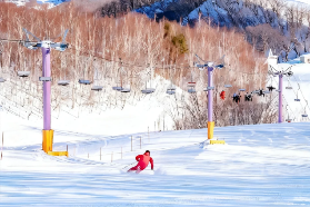 日本滑雪天氣查詢全攻略：3個精準掌握雪況的必備網站（2025最新）