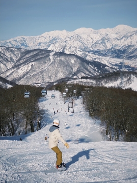 日本滑雪場全攻略：2025雪季六大雪場價格對比＆選雪場指南