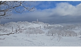 26年日本滑雪場盤點及適合對象，快來一起看看!