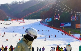 26年維瓦第度假村（Vivaldi Park）25-26 雪季終極交通攻略｜含高頻問題 Q&A❄️