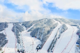 26年二世谷滑雪|雪票購買攻略大公開，小白必看