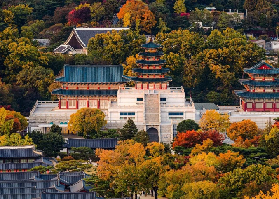 25年秋光正好，紅葉待賞 | 體驗韓國秋季楓紅的令人嘆為觀止之美