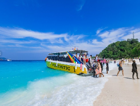 斯米蘭 10.15-11.10 黃金期全攻略：考拉住宿 + 交通美食避坑，拒絕打卡式玩海