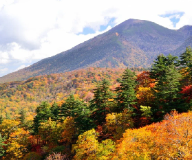 2025北海道紅葉季必去賞楓地大合集+交通攻略