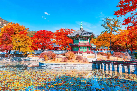 【2025韓國賞楓自由行】10個首爾楓葉、銀杏景點，紅葉時間預測情報