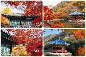 2025韓國紅葉季：這5個韓國賞楓景點，10月的韓國美到犯規
