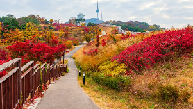 2025首爾賞楓懶人包！韓國賞楓季節、10個首爾市區、近郊賞楓景點推薦