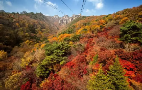 2025韓國賞楓時間及景點推薦！南怡島、內藏山、全州韓屋村等7大必打卡追楓秘境清單