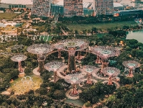 2025新加坡景點：綠意漫遊打卡指南​