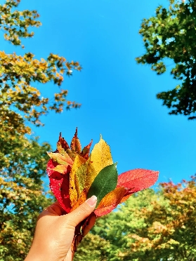 2025.10南怡島紅葉開啟（附交通方式）