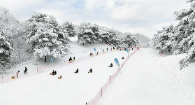 韓國洪川滑雪》2025-26 大明維瓦爾第度假村滑雪團行程 / 住宿推薦