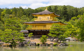 京都冬遊必搶！美山燈廊+金閣寺一日遊｜預訂前3個隱藏重點✨