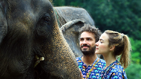 清邁大象營實測｜避開騎乘坑！康達保護營真·零虐待體驗✨