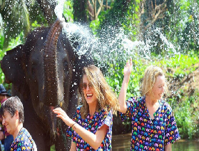 帶娃清邁別瞎玩！康達大象營才是親子遊正確打開方式：餵象洗澡學保護，無虐待還省心，玩得有意義又不費媽