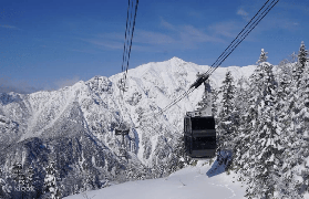 2026白川鄉點燈節｜預訂前必睇！套裝行程超抵避坑指南✨