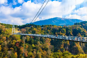 日本自由行-山谷、碧湖與紅葉，日本最值得走一趟的絕美吊橋