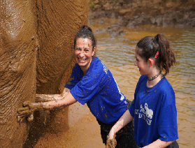 清邁親子新地標！智慧大象保護營半日沈浸式互動，餵象洗澡還管午餐