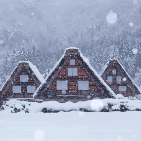 冬日日本中部必訪｜白川鄉合掌村點燈節全攻略：雪國童話、交通住宿與限定體驗