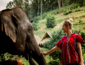 清邁 KERCHOR 大象生態公園：Karen 族帶您解鎖 “象家人” 日常，餵象、做草藥 SPA 藏滿原生態治愈