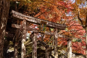 京都近郊賞楓：石山寺的絕美楓景藏不住了