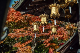 關西賞楓首選地！比睿山世界遺產巡禮，邂逅絕美紅葉